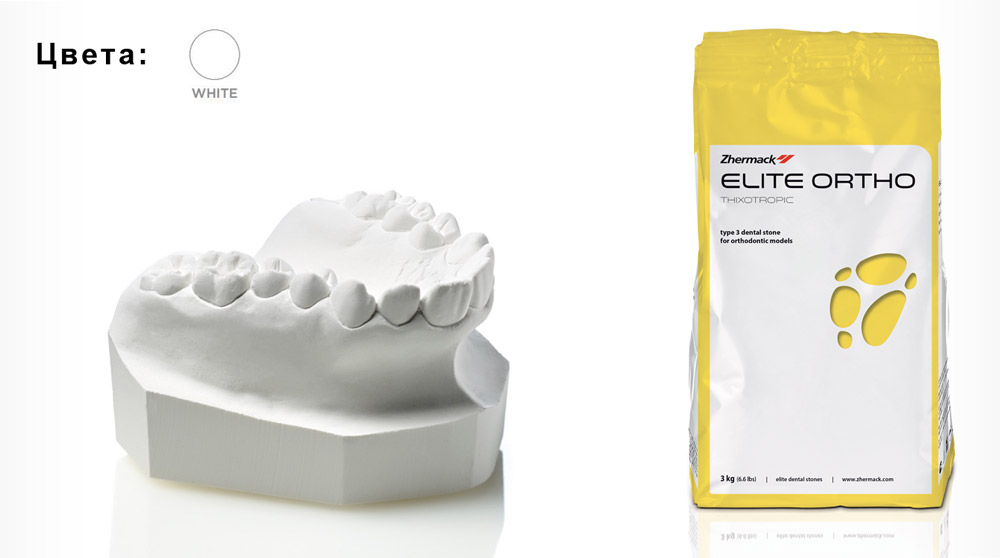   Elite ortho