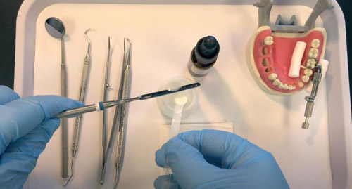   IRM Dentsply
