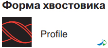   ProFile ()