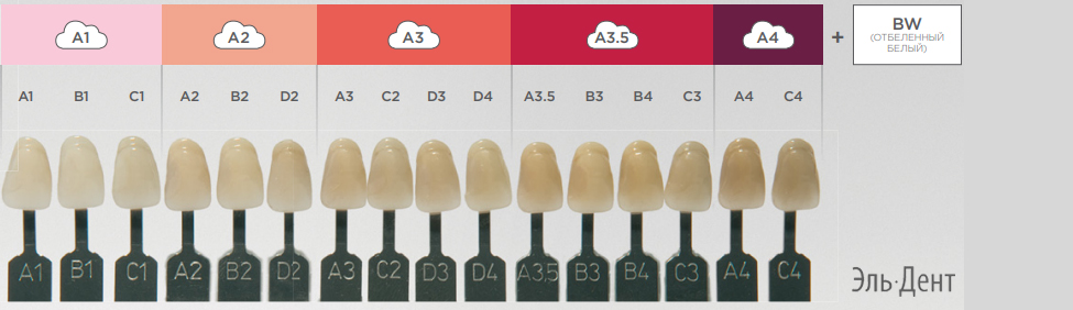 NEO SPECTRA    DENTSPLY SIRONA