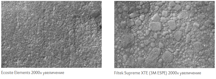 Ecosite Elements