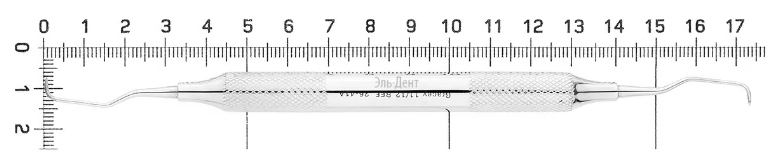  11/12 ( , D10 )