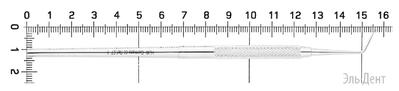  HLW Dental
