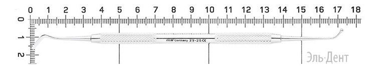 - HLW Dental