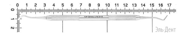 - HLW Dental