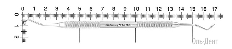  HLW Dental