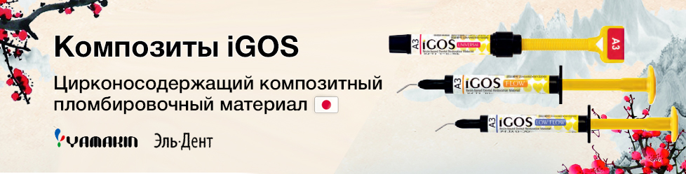  iGos ()