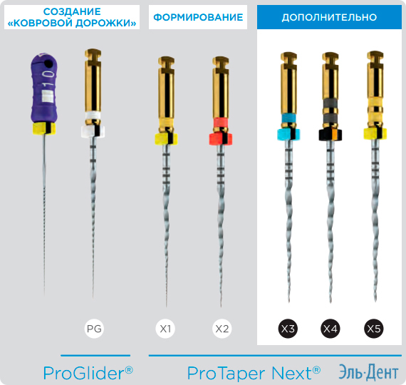   ProTaper Next
