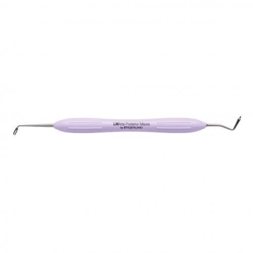  Posterior Misura 498-499 XSI