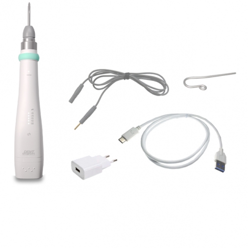Estus Pulp ( )-    ,        