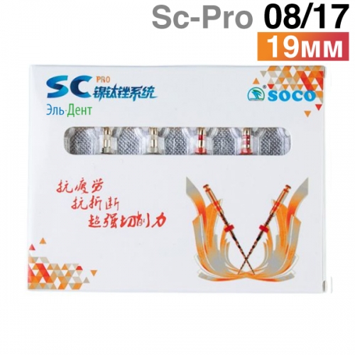      SC-Pro 08/17, 19. (6.) SOCO 