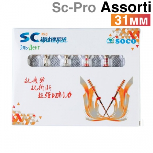     SC-Pro 31, . (6.) SOCO