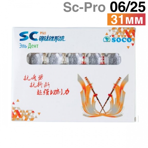      SC-Pro 06/25, 31. (6.) SOCO 
