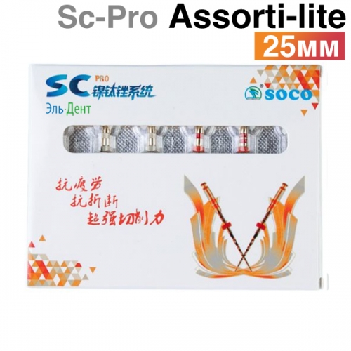      SC-Pro 2018, 25, -lite (4.) SOCO