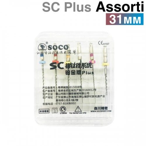      SC PLUS 31,  (6.) SOCO