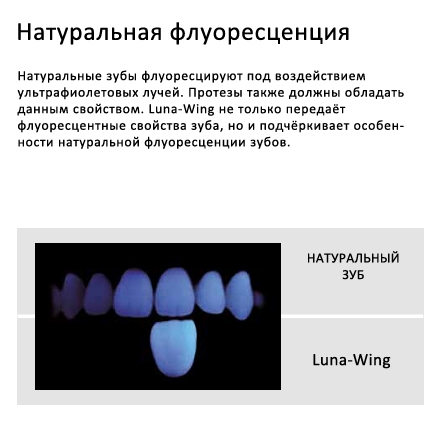/UserFiles/Image/img12005_29493.jpg
