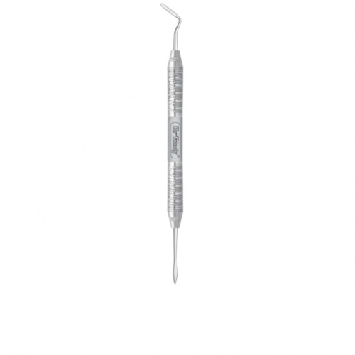  Anterior