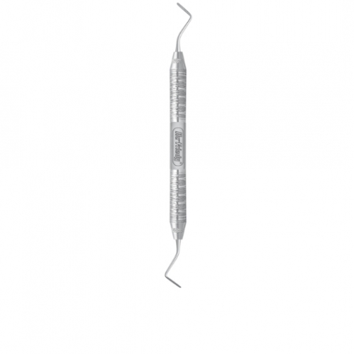  Posterior