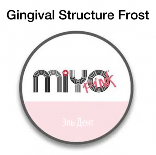 ������ ������������� MIYO Gingival Structure  Frost  (4��). Jensen Dental