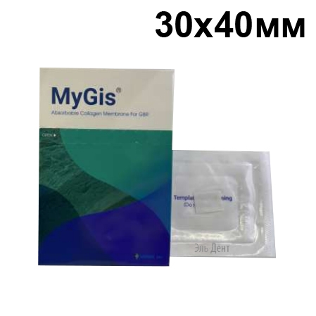 �������� ����������������� MYGIS (30�40��.) ������������ ���������������. MYGIS