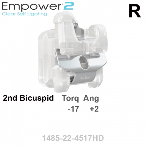 ������ SL EMPOWER CLEAR 022 LR 2st bicuspid HK Distal (1��), MBT Systems
