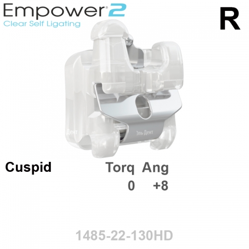 ������ SL EMPOWER CLEAR 022 UR cuspid HK Distal (1��),  MBT Systems