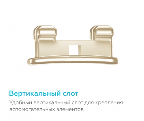 /UserFiles/Image/img22227_16231.jpg
