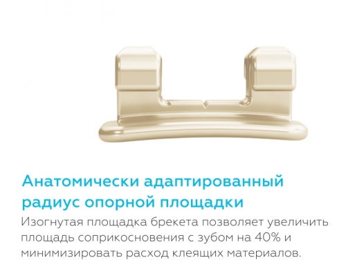 /UserFiles/Image/img22227_21545.jpg