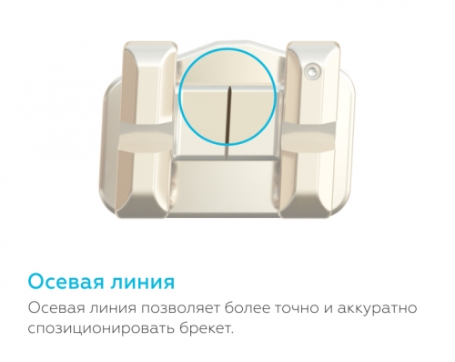 /UserFiles/Image/img22227_30899.jpg
