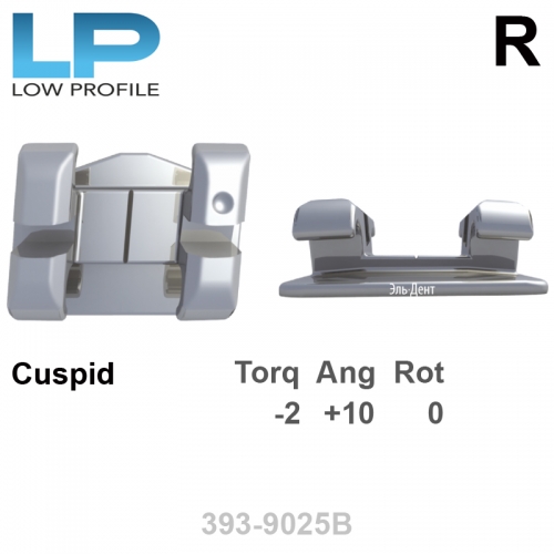 ������ LP 022 UR cuspid HK Distal (1��), Roth Systems