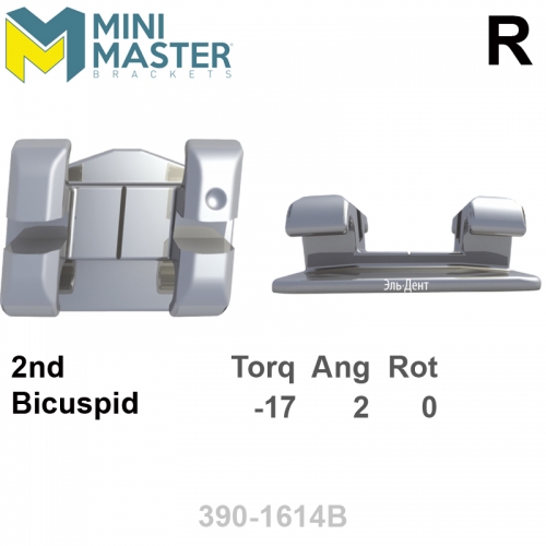 ������ MINI MASTER 022 LR 2st bicuspid HK Distal (1��), MBT Systems