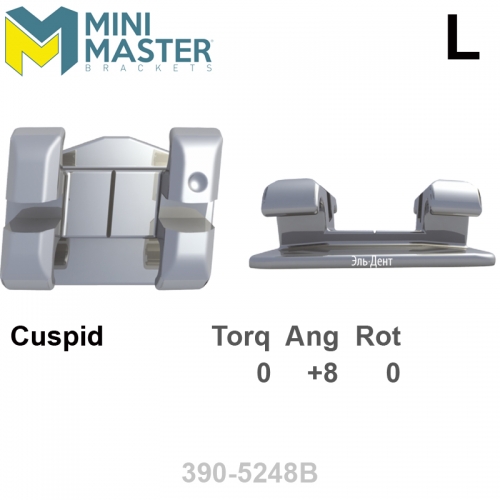 ������ MINI MASTER 022 UL cuspid HK Distal (1��), MBT Systems