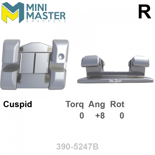 ������ MINI MASTER 022 UR cuspid HK Distal (1��), MBT Systems