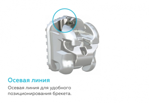 /UserFiles/Image/img22322_38800.jpg