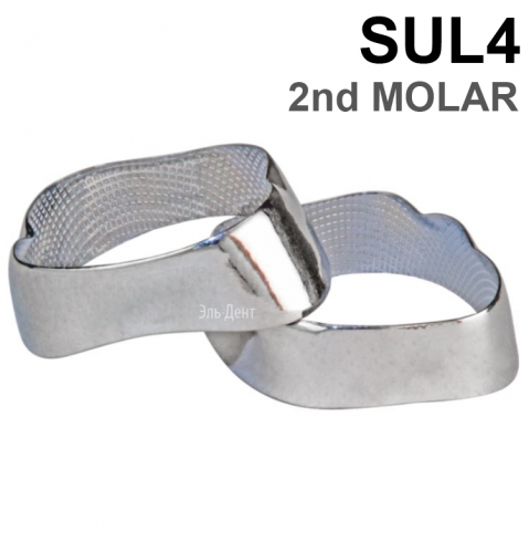 ������ ��������� SUL4 2nd MOLAR, 1 ��