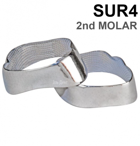 ������ ��������� SUR4 2nd MOLAR, 1 ��