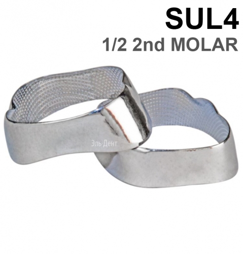 ������ ��������� SUL4 1/2 2nd MOLAR, 1 ��