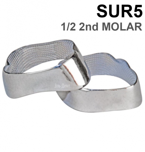 ������ ��������� SUR5 1/2 2nd MOLAR, 1 ��