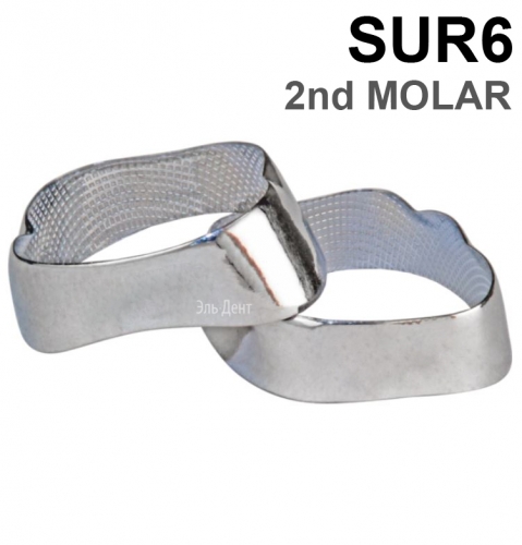 ������ ��������� SUR6 2nd MOLAR, 1 ��