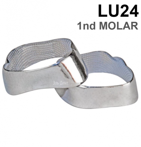 ������ ��������� LU24 1nd MOLAR, 1 ��
