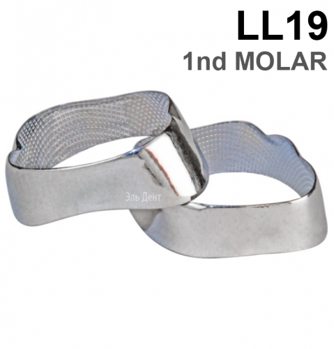 ������ ��������� LL19 1nd MOLAR, 1 ��