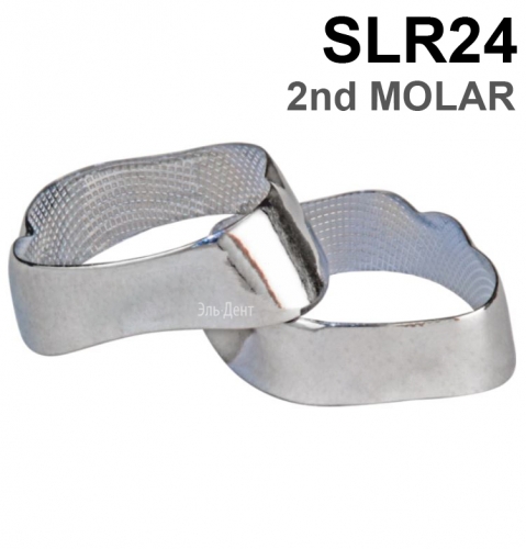 ������ ��������� SLR24 2nd MOLAR, 1 ��
