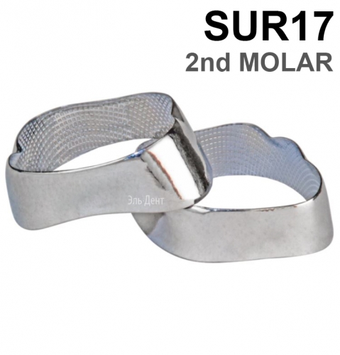 ������ ��������� SUR17 2nd MOLAR, 1 ��