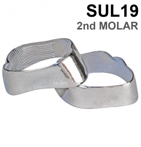 ������ ��������� SUL19 2nd MOLAR, 1 ��