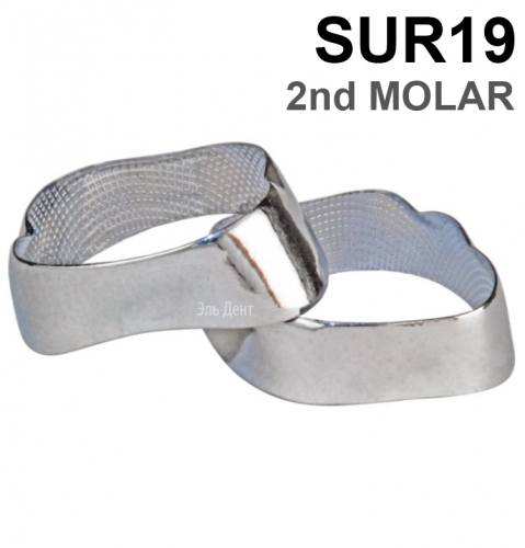 ������ ��������� SUR19 2nd MOLAR, 1 ��