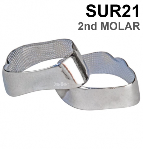 ������ ��������� SUR21 2nd MOLAR, 1 ��