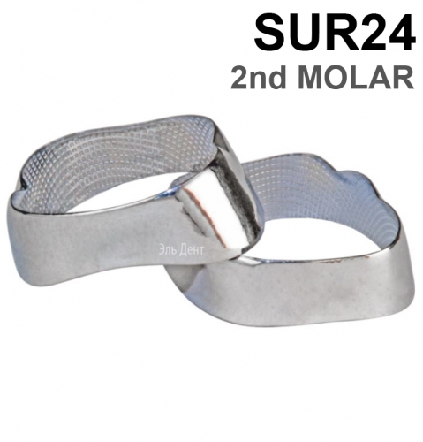 ������ ��������� SUR24 2nd MOLAR, 1 ��
