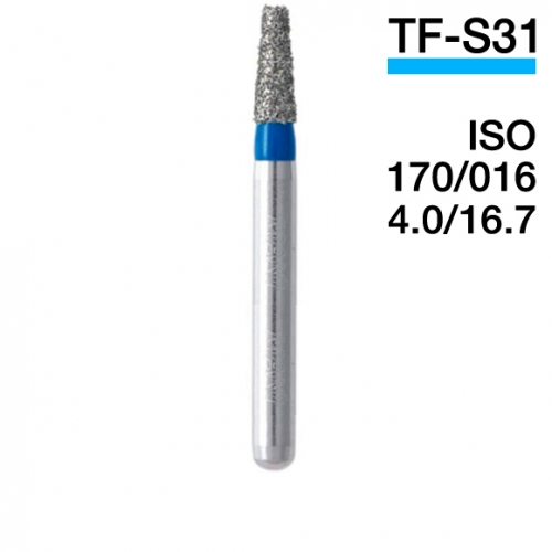   TF-S31 (5 .)