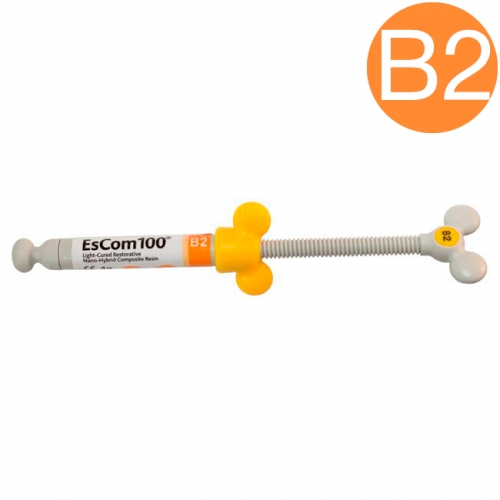 Escom 100  B2,  (4.)   , Spident