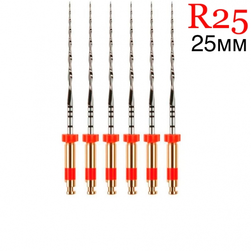 Reciproc ()  R25 L25 (6) / V040212025025, VDW